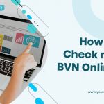 IP TV for Next-Level Digital Streaming Convenience