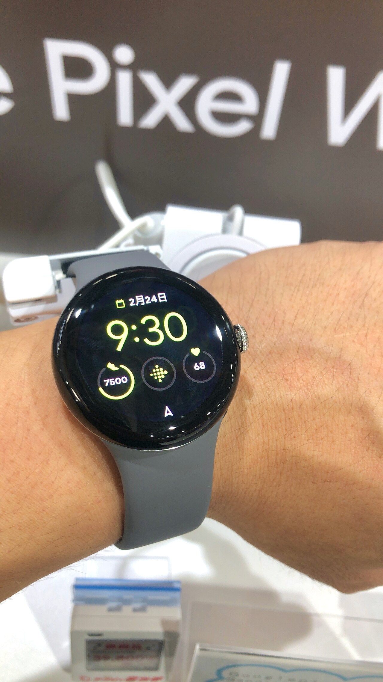 Pixel Watch features